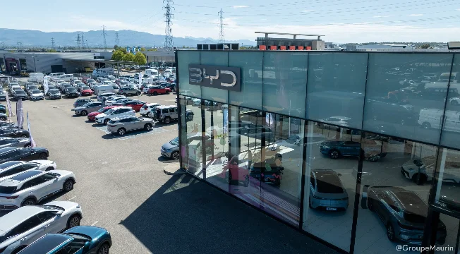BYD VALENCE