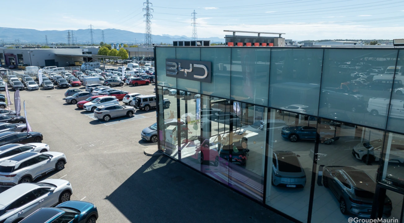BYD VALENCE