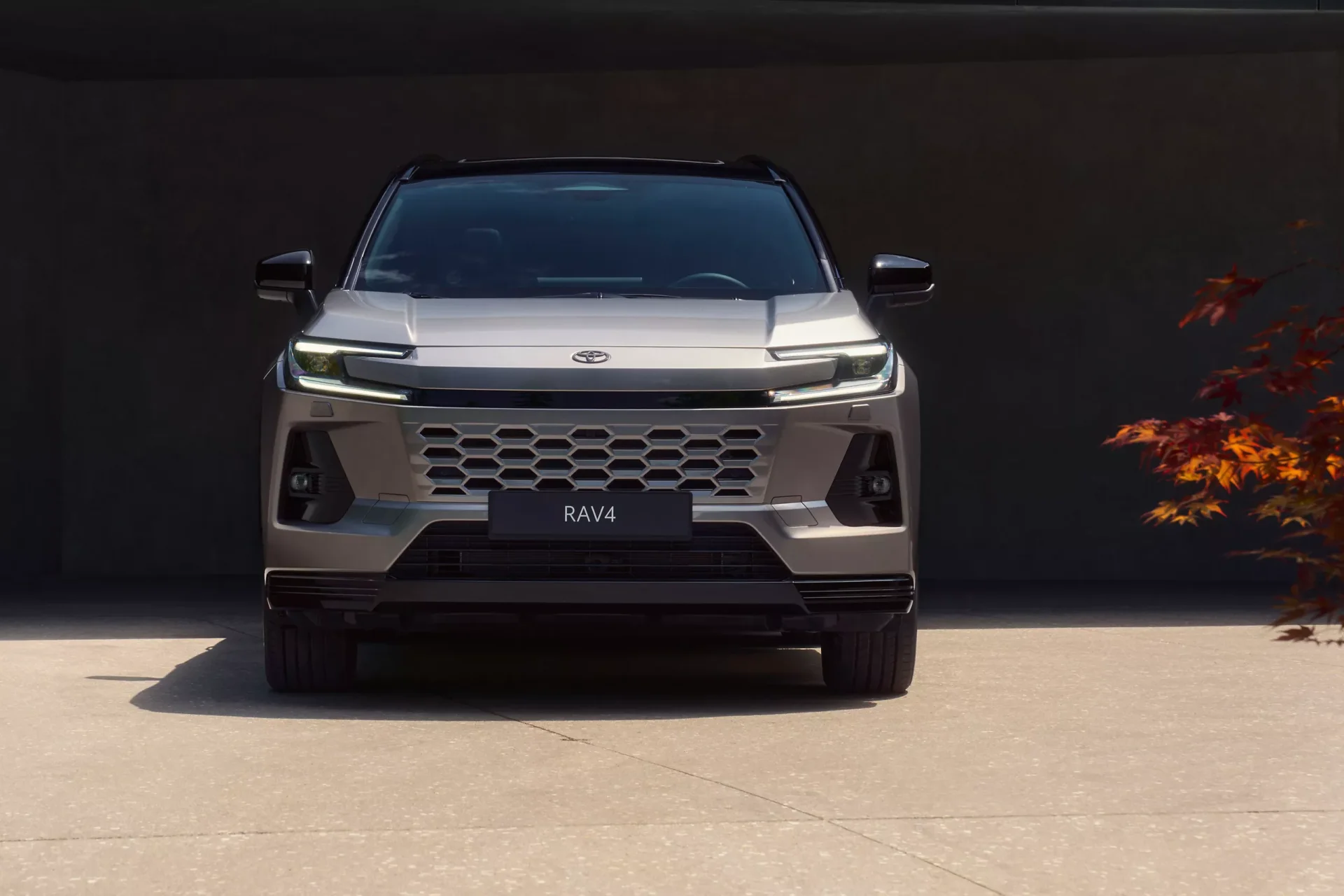 Nouveau RAV4 extérieur 2
