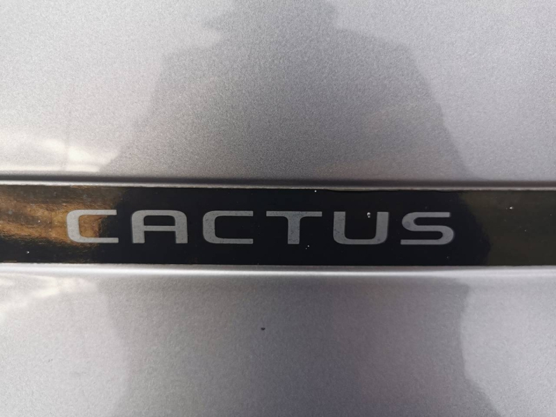 Photo 19 de l’annonce de CITROEN C4 Cactus d’occasion à vendre à CARCASSONNE