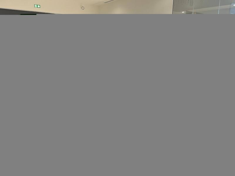 Photo 15 de l’annonce de LEXUS UX d’occasion à vendre à LATTES